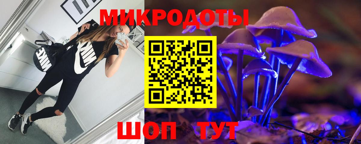 Псилоцибиновые грибы Psilocybine cubensis Учалы